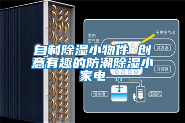 自制除濕小物件 創(chuàng  )意有趣的防潮除濕小家電