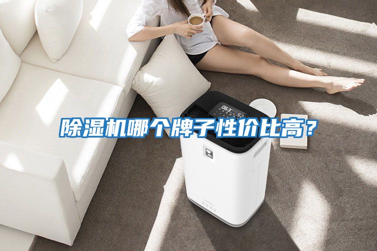 除濕機哪個(gè)牌子性?xún)r(jià)比高？