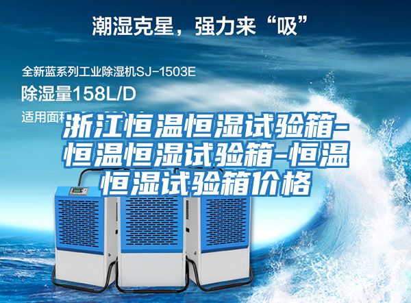浙江恒溫恒濕試驗箱-恒溫恒濕試驗箱-恒溫恒濕試驗箱價(jià)格
