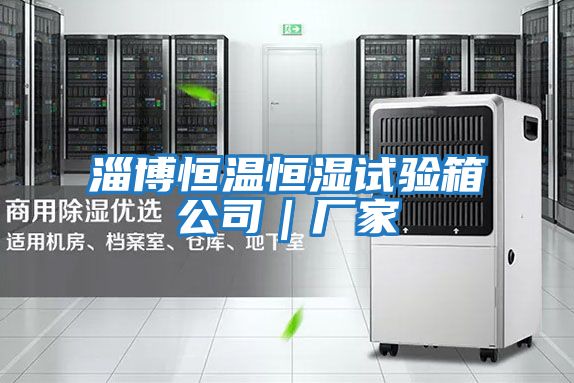 淄博恒溫恒濕試驗箱公司｜廠(chǎng)家