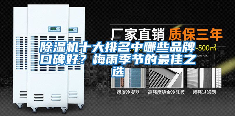 除濕機十大排名中哪些品牌口碑好？梅雨季節的最佳之選