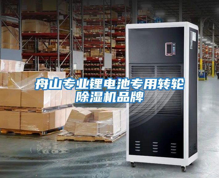 舟山專(zhuān)業(yè)鋰電池專(zhuān)用轉輪除濕機品牌