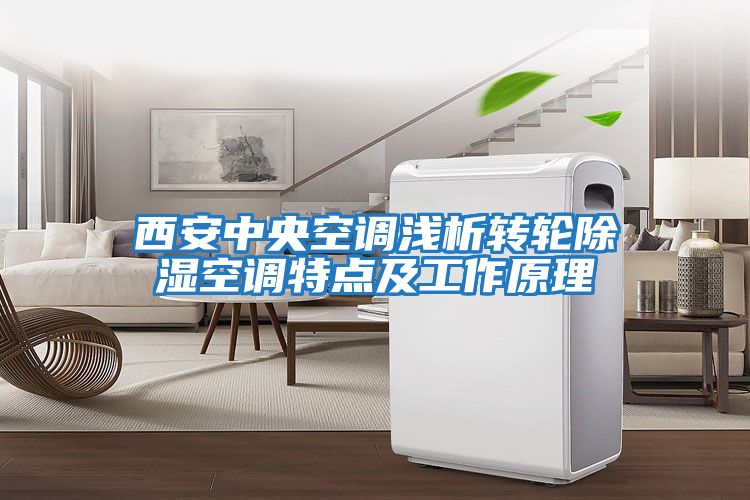 西安中央空調淺析轉輪除濕空調特點(diǎn)及工作原理