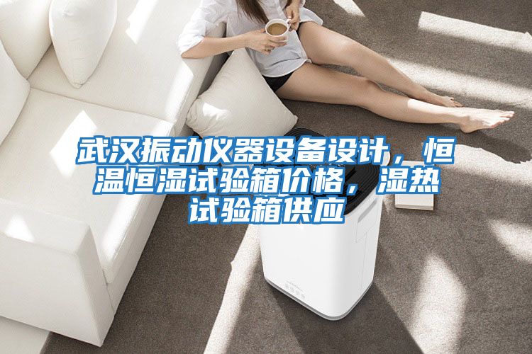 武漢振動(dòng)儀器設備設計，恒溫恒濕試驗箱價(jià)格，濕熱試驗箱供應
