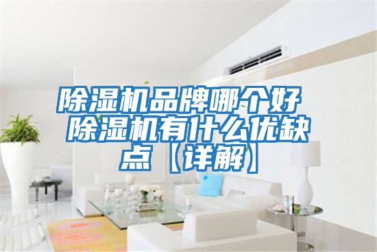 除濕機品牌哪個(gè)好 除濕機有什么優(yōu)缺點(diǎn)【詳解】