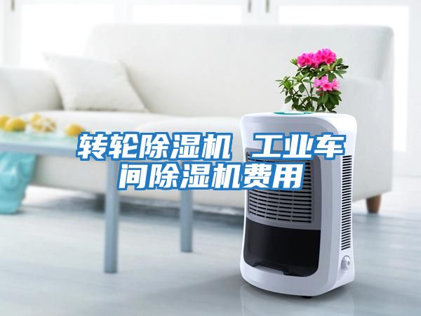 轉輪除濕機 工業(yè)車(chē)間除濕機費用