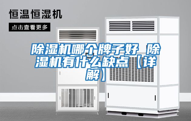 除濕機哪個(gè)牌子好 除濕機有什么缺點(diǎn)【詳解】