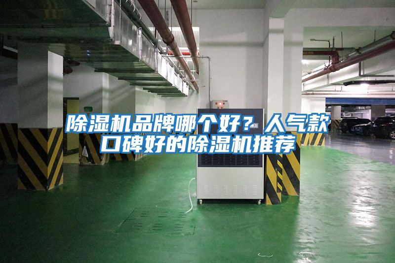 除濕機品牌哪個(gè)好？人氣款口碑好的除濕機推薦