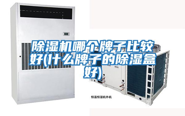 除濕機哪個(gè)牌子比較好(什么牌子的除濕盒好)