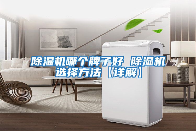 除濕機哪個(gè)牌子好 除濕機選擇方法【詳解】