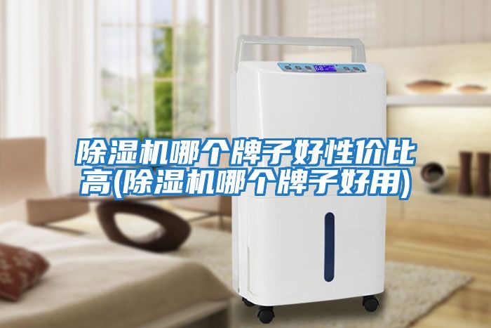 除濕機哪個(gè)牌子好性?xún)r(jià)比高(除濕機哪個(gè)牌子好用)