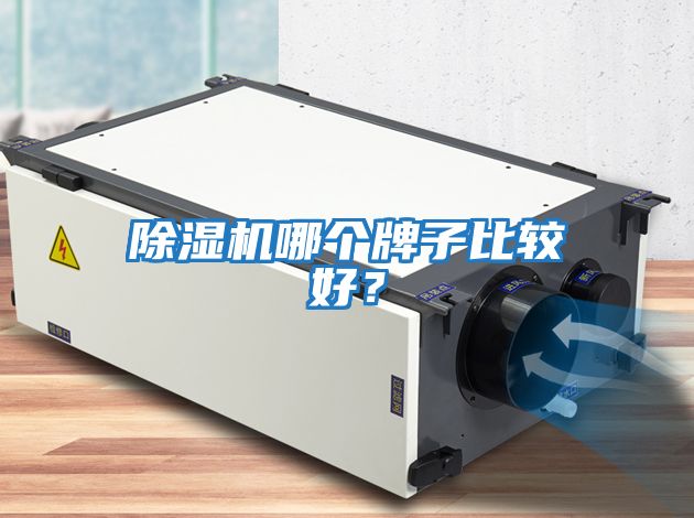 除濕機哪個(gè)牌子比較好？