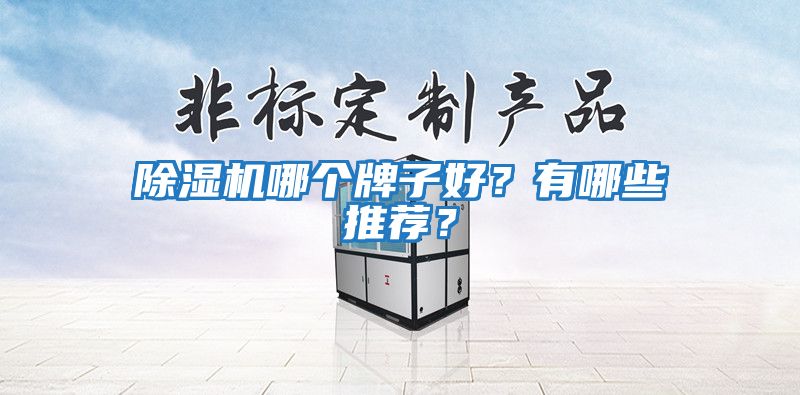 除濕機哪個(gè)牌子好？有哪些推薦？