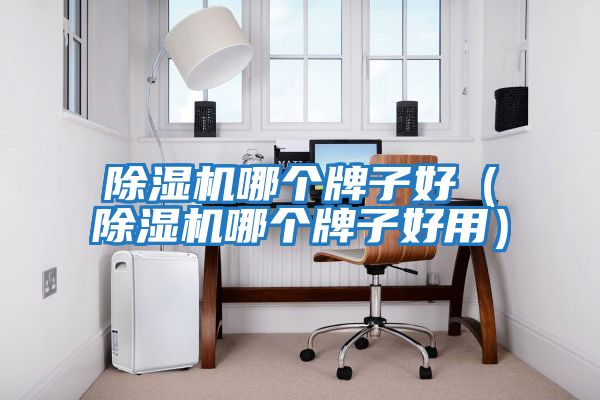 除濕機哪個(gè)牌子好（除濕機哪個(gè)牌子好用）