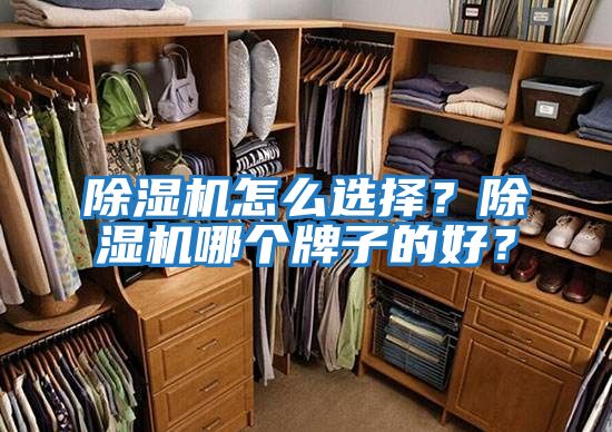 除濕機怎么選擇？除濕機哪個(gè)牌子的好？