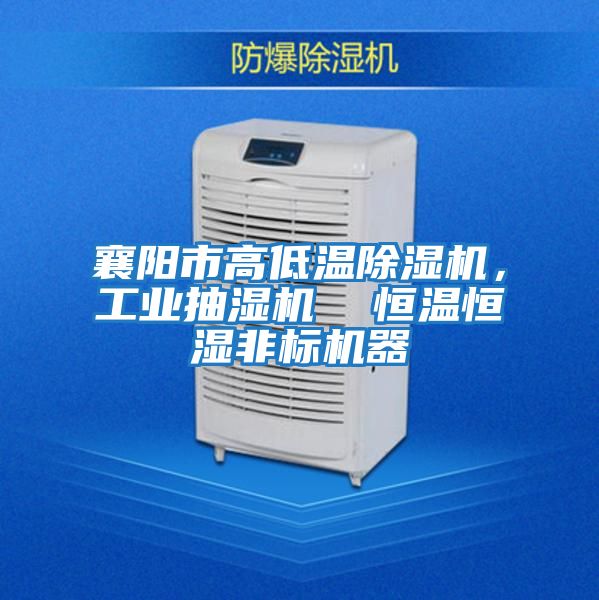 襄陽(yáng)市高低溫除濕機，工業(yè)抽濕機  恒溫恒濕非標機器