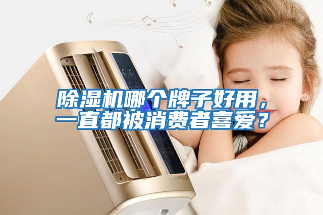 除濕機哪個(gè)牌子好用，一直都被消費者喜愛(ài)？
