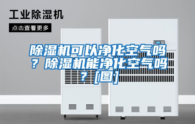 除濕機可以?xún)艋諝鈫?？除濕機能凈化空氣嗎？[圖]