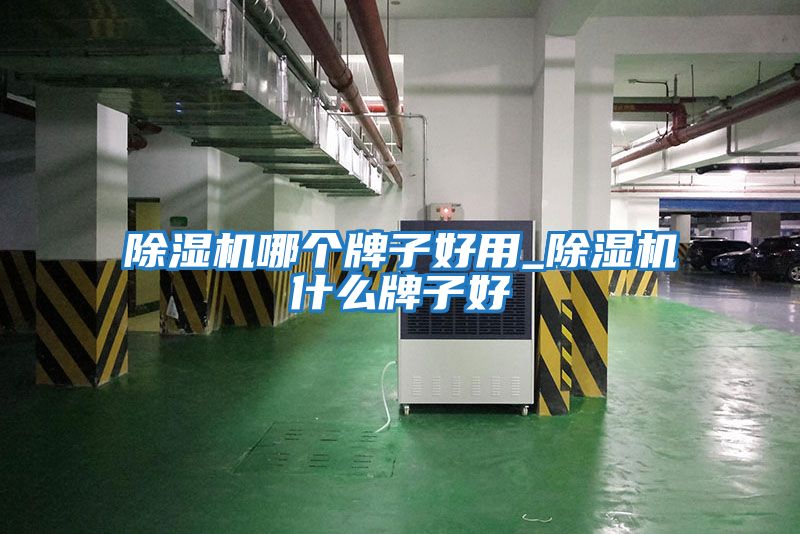 除濕機哪個(gè)牌子好用_除濕機什么牌子好