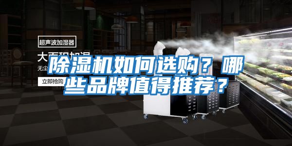 除濕機如何選購？哪些品牌值得推薦？