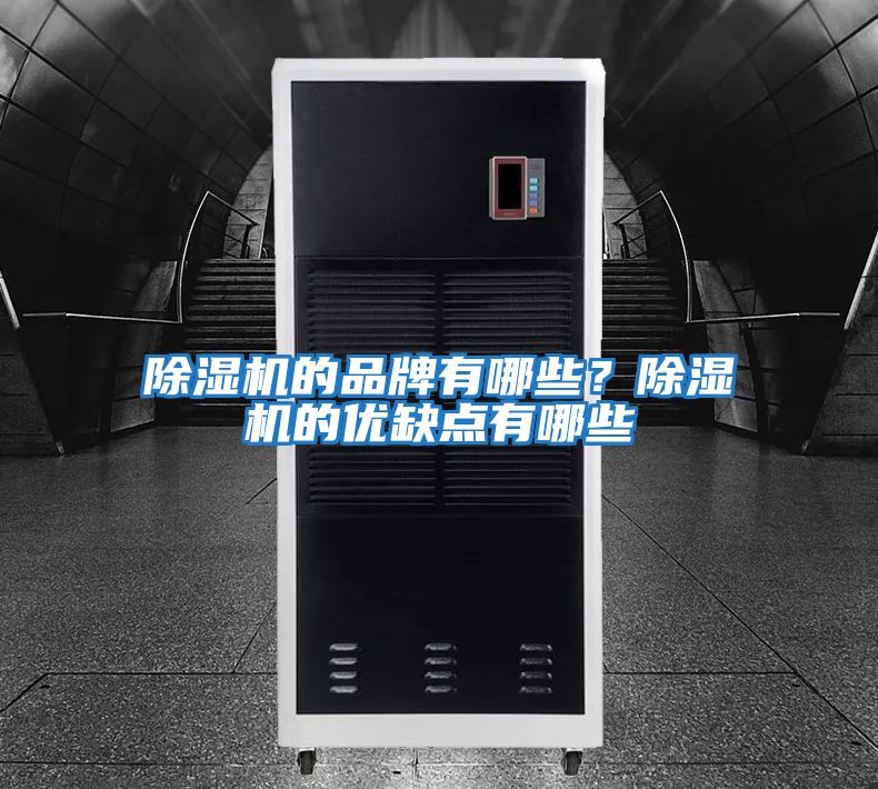 除濕機的品牌有哪些？除濕機的優(yōu)缺點(diǎn)有哪些