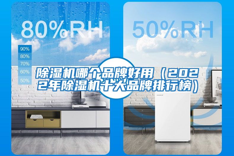 除濕機哪個(gè)品牌好用（2022年除濕機十大品牌排行榜）