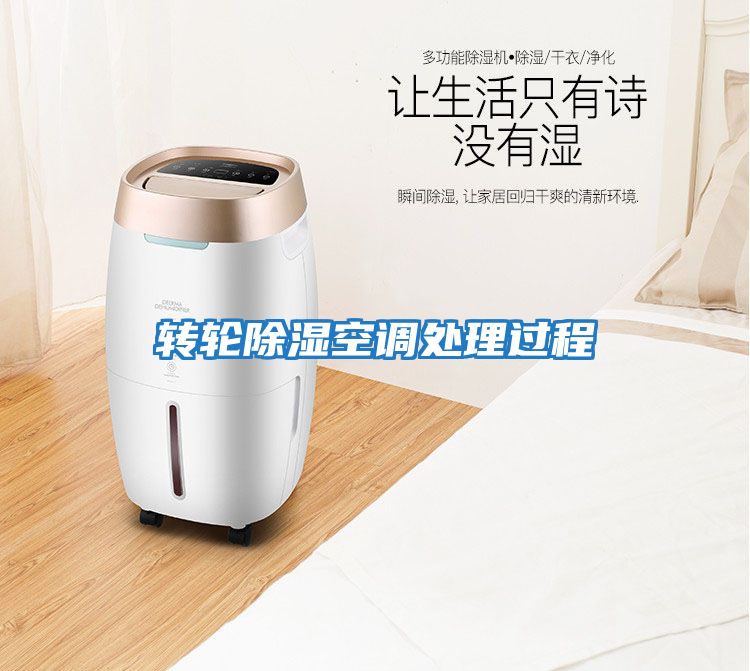 轉輪除濕空調處理過(guò)程