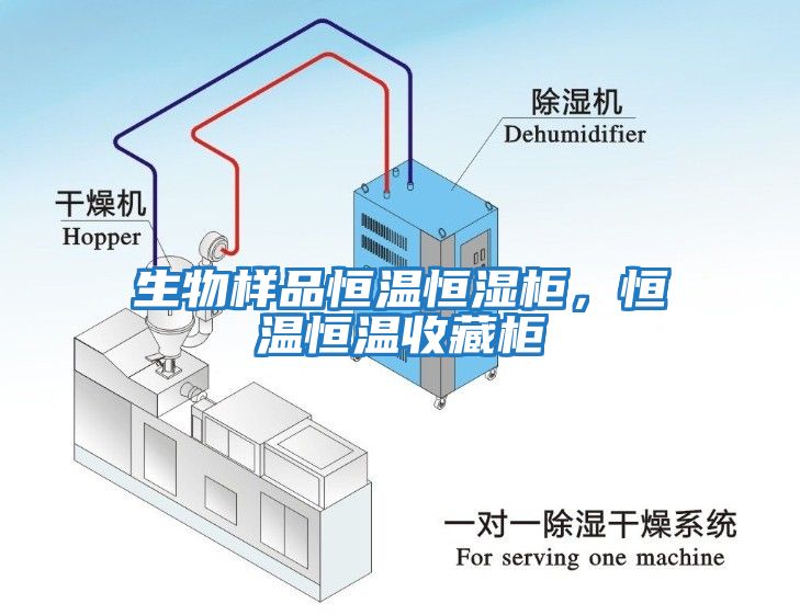 生物樣品恒溫恒濕柜，恒溫恒溫收藏柜