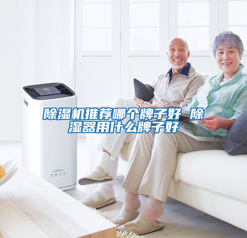 除濕機推薦哪個(gè)牌子好 除濕器用什么牌子好