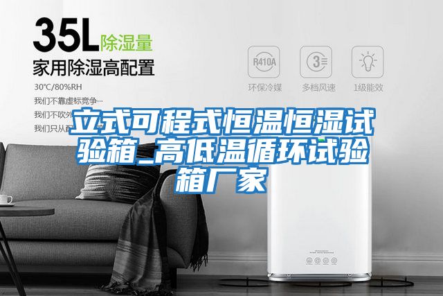 立式可程式恒溫恒濕試驗箱_高低溫循環(huán)試驗箱廠(chǎng)家