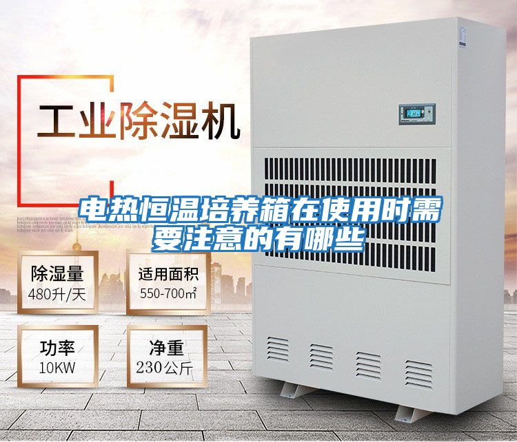 電熱恒溫培養箱在使用時(shí)需要注意的有哪些