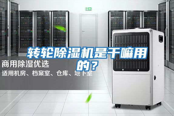 轉輪除濕機是干嘛用的？