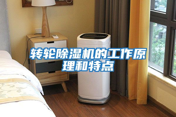 轉輪除濕機的工作原理和特點(diǎn)