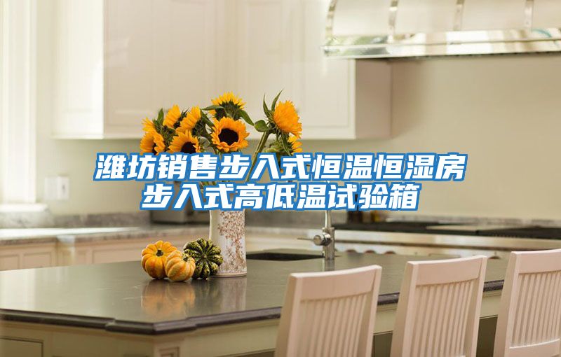 濰坊銷(xiāo)售步入式恒溫恒濕房步入式高低溫試驗箱
