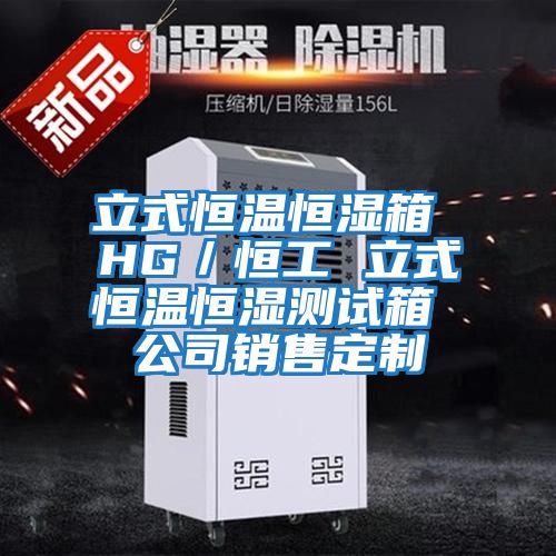 立式恒溫恒濕箱 HG／恒工 立式恒溫恒濕測試箱 公司銷(xiāo)售定制