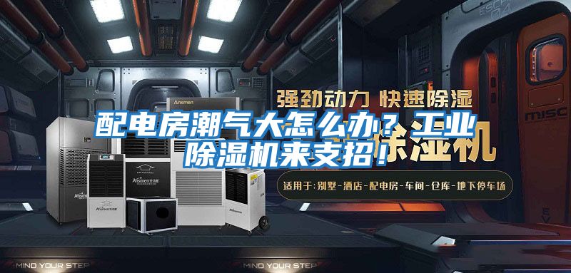 配電房潮氣大怎么辦？工業(yè)除濕機來(lái)支招！