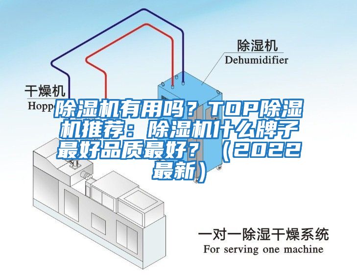 除濕機有用嗎？TOP除濕機推薦：除濕機什么牌子最好品質(zhì)最好？（2022最新）