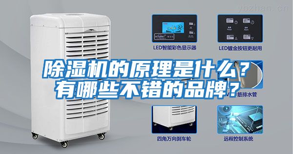 除濕機的原理是什么？有哪些不錯的品牌？
