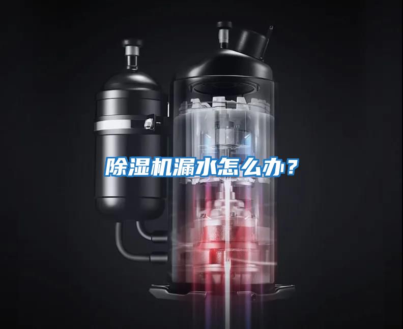 除濕機漏水怎么辦？