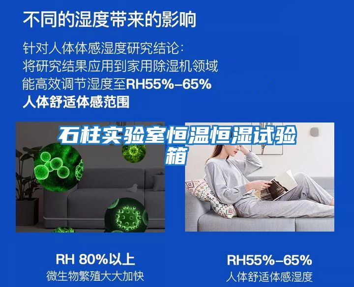 石柱實(shí)驗室恒溫恒濕試驗箱