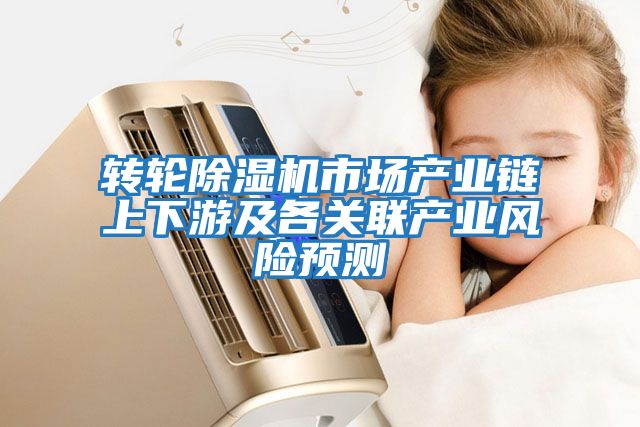 轉輪除濕機市場(chǎng)產(chǎn)業(yè)鏈上下游及各關(guān)聯(lián)產(chǎn)業(yè)風(fēng)險預測
