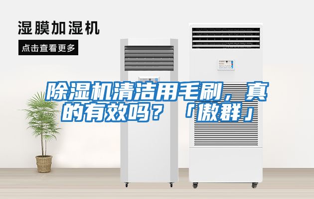 除濕機清潔用毛刷，真的有效嗎？「傲群」