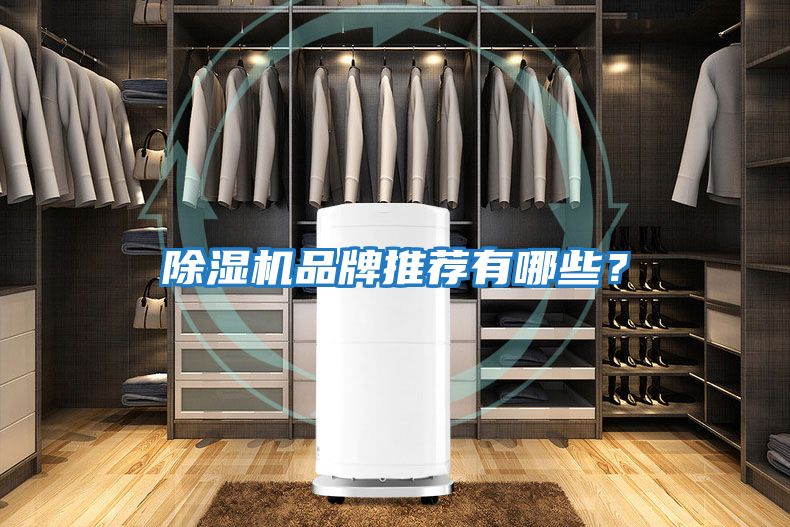 除濕機品牌推薦有哪些？