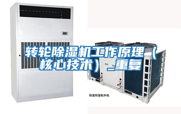 轉輪除濕機工作原理（核心技術(shù)）_重復