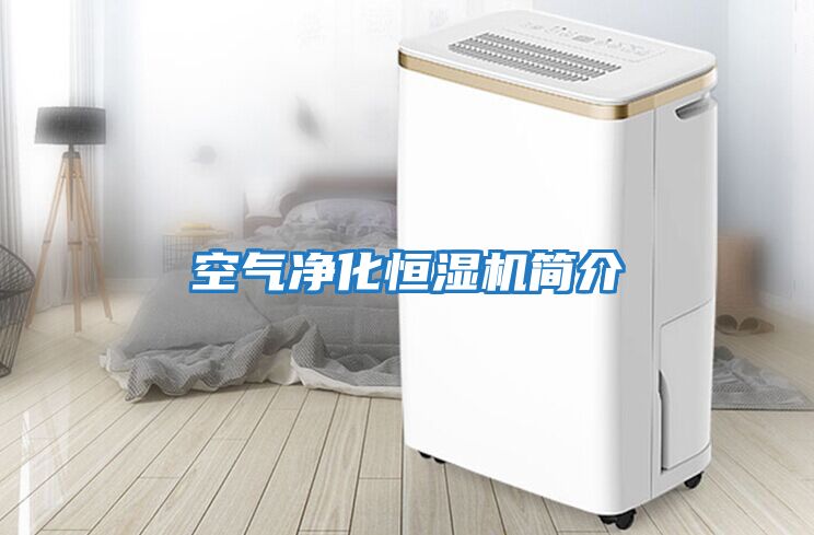 空氣凈化恒濕機簡(jiǎn)介