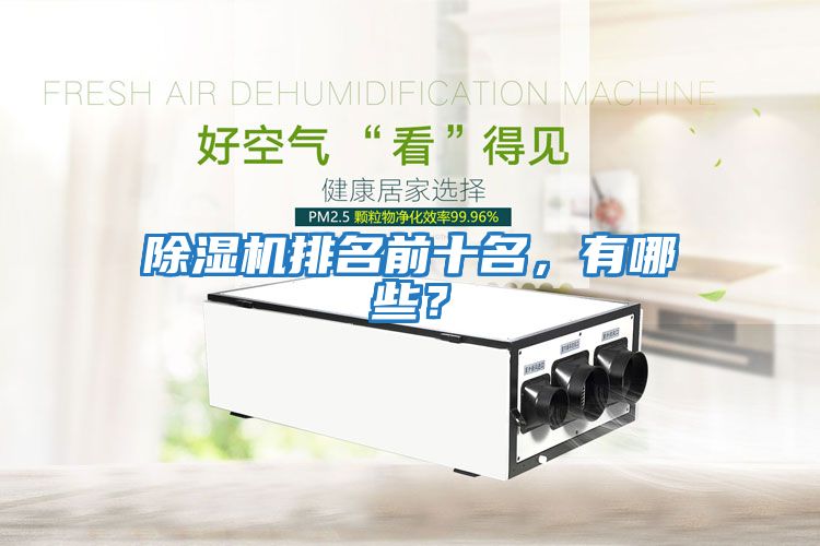 除濕機排名前十名，有哪些？