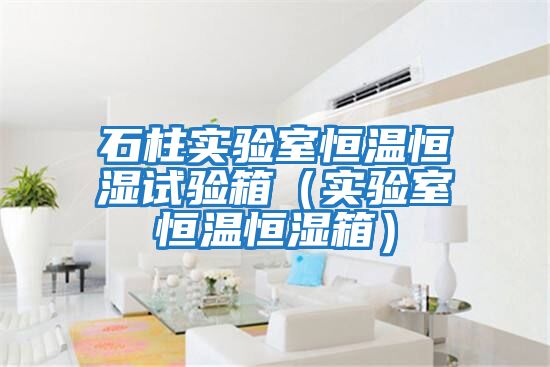 石柱實(shí)驗室恒溫恒濕試驗箱（實(shí)驗室恒溫恒濕箱）
