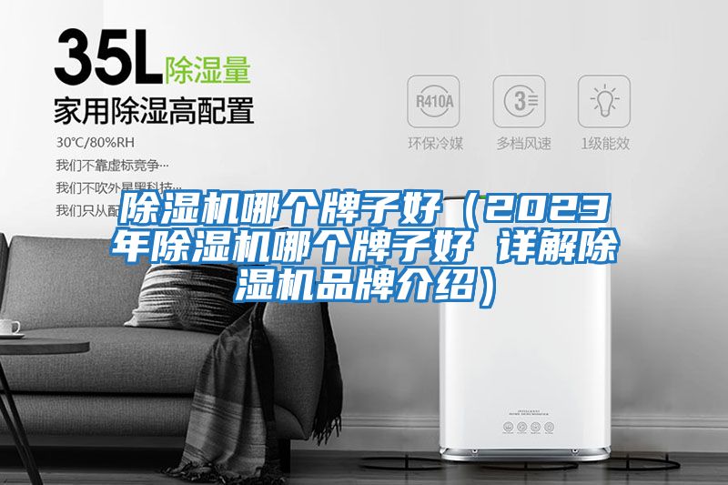 除濕機哪個(gè)牌子好（2023年除濕機哪個(gè)牌子好 詳解除濕機品牌介紹）