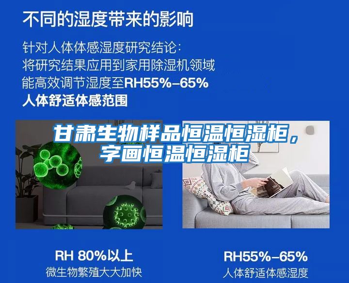 甘肅生物樣品恒溫恒濕柜，字畫(huà)恒溫恒濕柜