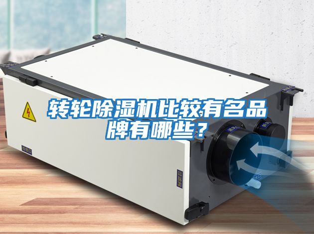轉輪除濕機比較有名品牌有哪些？